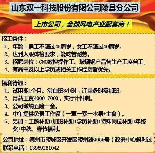 文登招聘网最新招聘,文登招聘网最新招聘动态深度解析