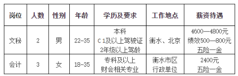 衡水招聘信息网最新招聘,衡水招聘信息网最新招聘动态深度解析