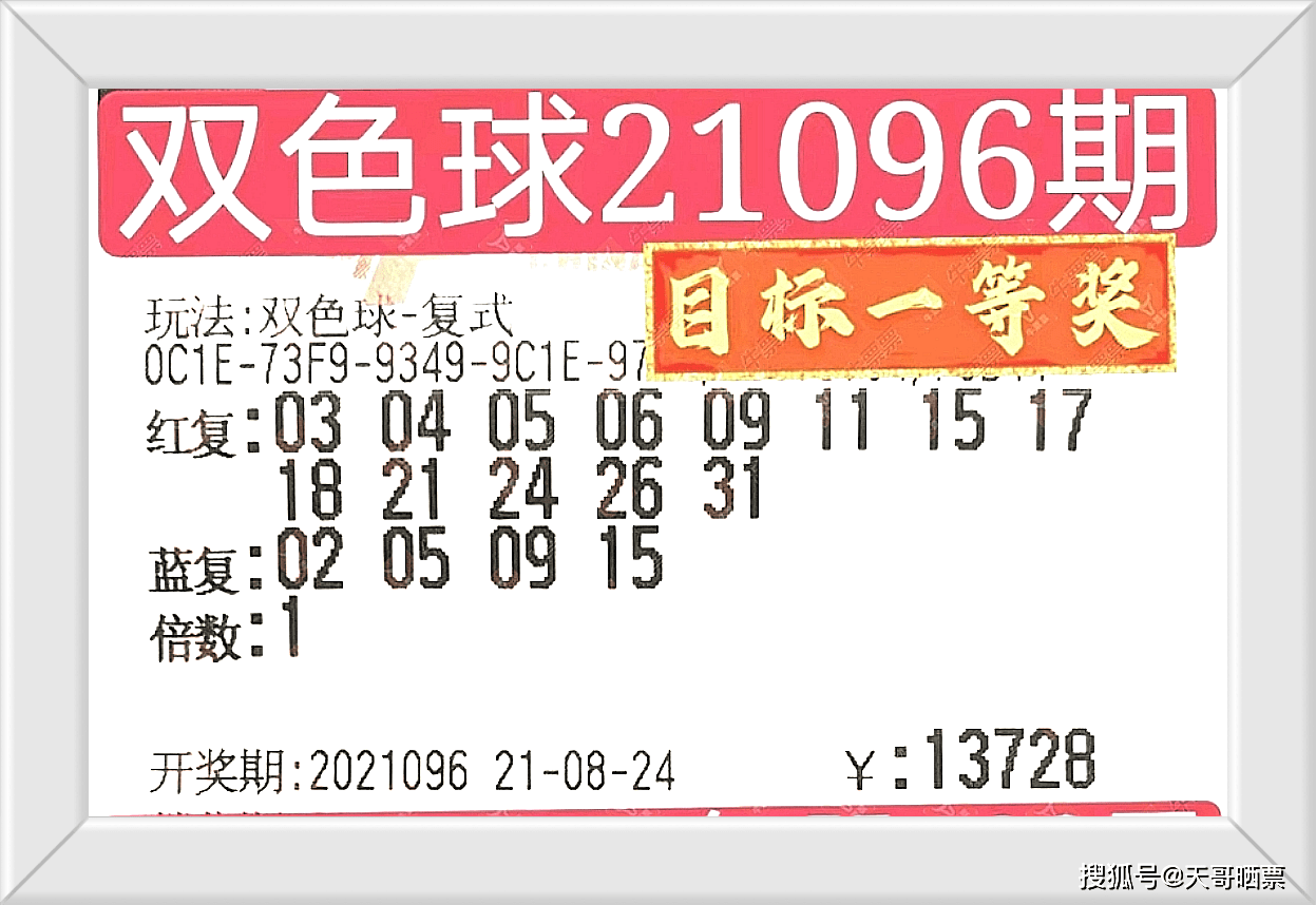 2024澳门今晚开奖号码香港记录,关于彩票开奖号码的真相与警示