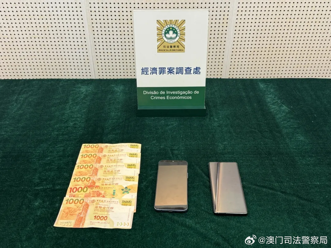 澳门王中王100%的资料2024年,澳门王中王100%的资料——警惕犯罪风险，切勿参与非法赌博活动