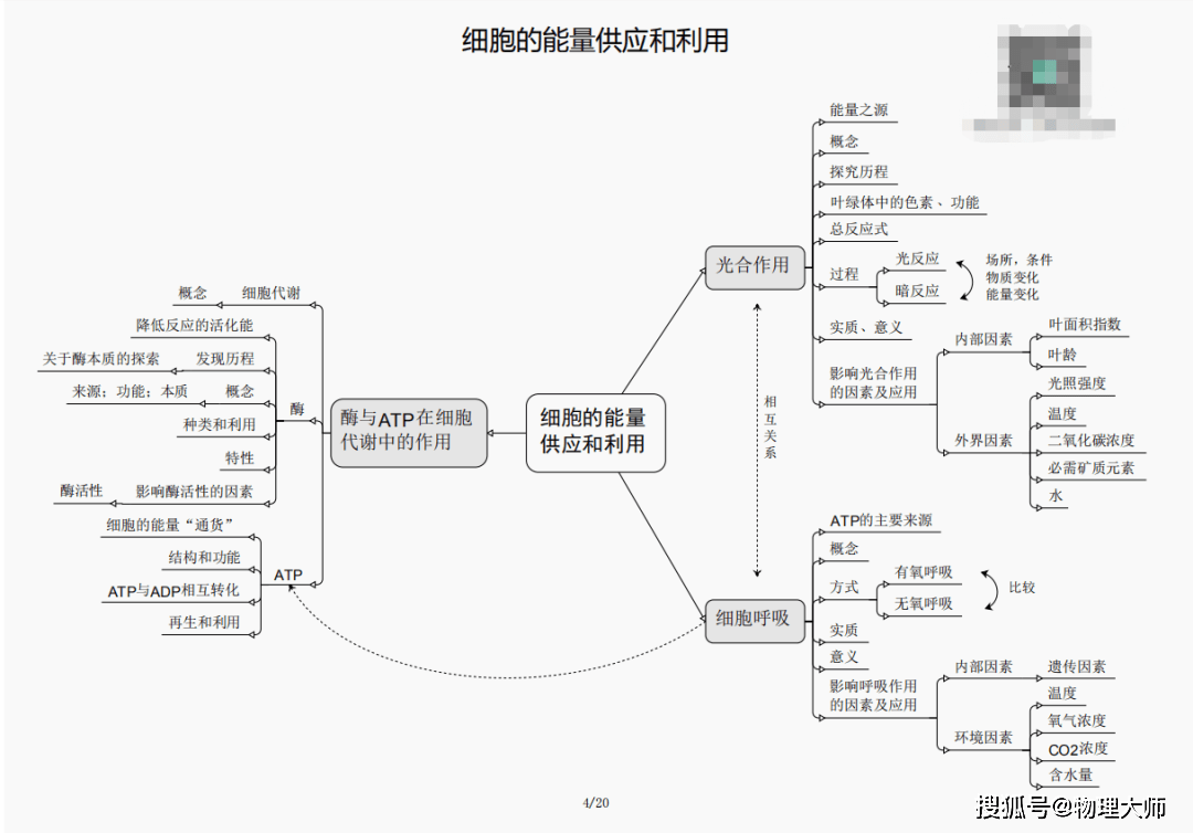 白小姐三肖三期必出一期开奖虎年,白小姐三肖三期必出一期开奖虎年，警惕背后的风险与挑战