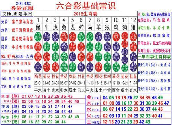 2024年12月 第111页