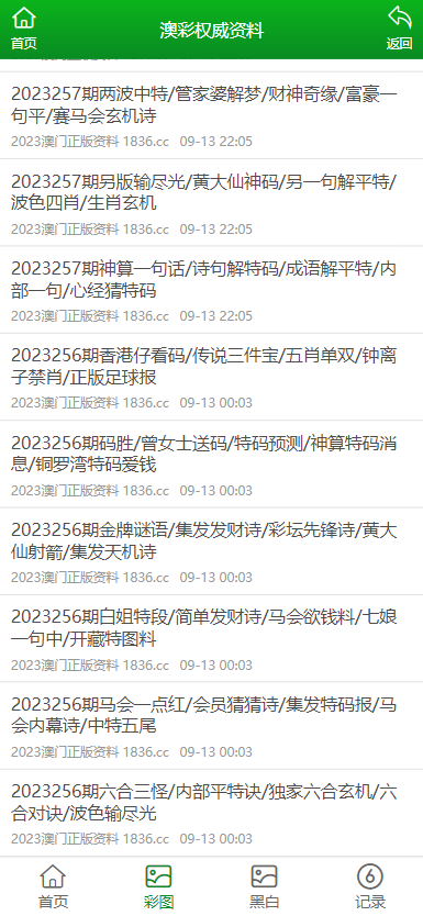 2024澳门精准正版资料,探索澳门正版资料，2024年的精准信息之旅