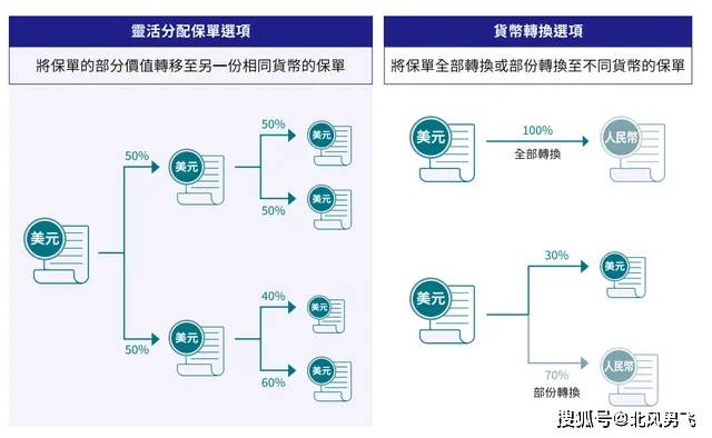 香港开奖 结果 开奖,香港彩票开奖结果，揭秘与解读