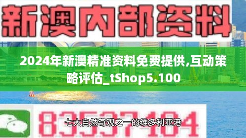 2024新澳精准正版资料109,探索与解析，关于新澳精准正版资料的重要性与深度研究（特别关注2024年第109期）