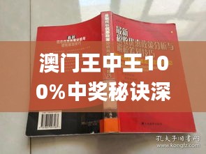 新澳门王中王王中王免费,新澳门王中王王中王免费，探索与体验