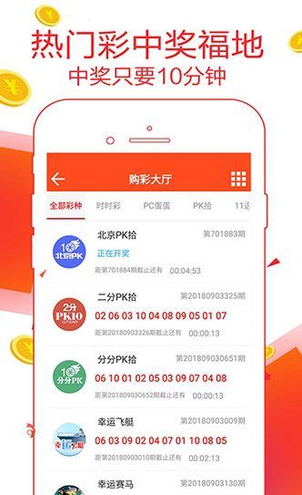 王中王493333中特1肖,王中王493333中特1肖的魅力与探索